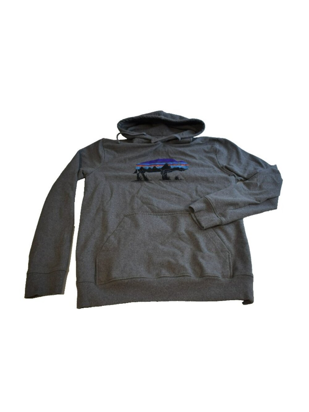 Patagonia Fitz Roy Bison Uprisal Hoody Pullover Gray Women's Size Medium Hoodie